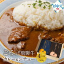 お中元 夏ギフト 飛騨牛 カレー レトルト ギフト カレーギフト 詰め合わせ セット 4人前 2個 ビーフカレー ビーフシチュー 高級 お肉 ゴロゴロ 黒毛和牛 牛肉 国産 ブランド肉 常温 50代 60代 70代 80代 グルメ 食べ物