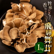 楽天市場】白舞茸の通販