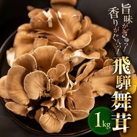 飛騨舞茸 飛騨 1kg たっぷり 大容量 舞茸 下呂 肉厚 コリコリ 芳香 強い 香り 水分 少ない 天ぷら 唐揚げ きのこご飯 和洋折衷 スープ