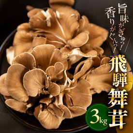 飛騨舞茸 飛騨 3kg たっぷり 大容量 舞茸 下呂 肉厚 コリコリ 芳香 強い 香り 水分 少ない 天ぷら 唐揚げ きのこご飯 和洋折衷 スープ