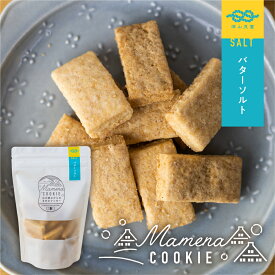 白川郷おからのまめなクッキー お得用 おからクッキー 140g バターソルト お菓子 大豆 おしゃれ かわいい 贈答 ギフト グルテンフリー バター おから クッキー ダイエット 生おから こだわり 国産 バタークッキー 米粉 ヘルシー ホワイトデー お返し チョコ以外