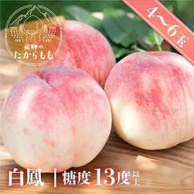 桃 白鳳 糖度13度以上 4-6玉 桃ギフト 贈答用 甘い 柔らかい 品種 特上 朝採れ 飛騨のたから桃 白桃 甘くてジューシーな モモ 高級 産地直送 ギフト 飛騨高山 つむぎ果樹園 受付中