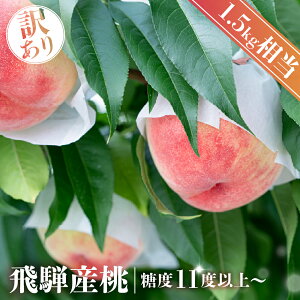 �y�󂠂�z�� ���x11�x ���x13�x ���x15�x �ȏ� 4�|8�� ���M�t�g �i�킨�C�� ��A�� ������ �ō��� �Â� �_�炩�� �i�� ��˂̂����瓍 ���� ���I ���̂� ���� �M�t�g ���씒�P �݂������P ���P 