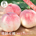 訳あり 桃 糖度15度以上 1.5kg 飛騨産 もも 甘い 柔らかい 品種 朝採れ 白桃 モモ 産地直送 ギフト 飛騨高山　訳アリ フードロス
