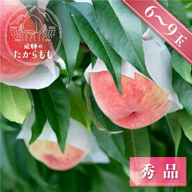 ＼2023年 先行予約／お中元 桃 飛騨のたから桃 秀品 糖度11度以上 6－9玉 朝採れ 白桃 もも モモ 夏ギフト 御中元 自宅用 でも 品種お任せ ( 日川白鳳 みさか白鳳 白鳳 あかつき 昭和白桃 川中島白桃 ) つむぎ果樹園 高級　特秀