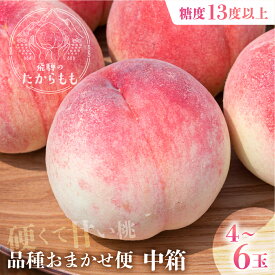 品種 おまかせ 硬い桃 糖度13度以上 15度以上 4−6玉 桃ギフト 品種お任せ 硬肉品種 硬い 贈答用 最高級 甘い 品種 桃 飛騨のたから桃 特選 朝採れ 高級 ギフト 品種お任せ ( シーエックス 幸茜 川中島) つむぎ果樹園 9月上旬発送 予約受付中