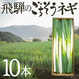 極太 プレミアム ねぎ 大容量 飛騨のごちそうネギ 10本 旬の野菜 希少品種 旬野菜 秋野菜 冬野菜 水村農園 岐阜県産 産地直送 産直 農家直送 白ねぎ 白ネギ 飛騨の根深ねぎ 葱