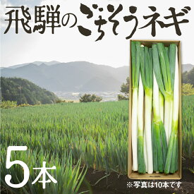 極太 プレミアム ねぎ 飛騨のごちそうネギ 5本 旬の野菜 希少品種 旬野菜 秋野菜 冬野菜 水村農園 岐阜県産 産地直送 産直 農家直送 白ネギ 白ねぎ 根深ネギ 葱