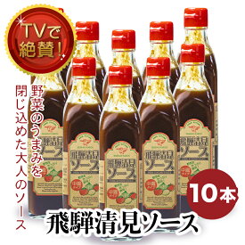 調味料 ギフト飛騨 清見ソース 10本セット パスカル清見 TVでも絶賛 ウスターソース 中濃ソース 美味しい 業務用