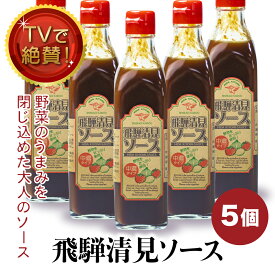 飛騨 清見ソース 5本セット パスカル清見 TVでも絶賛 ウスターソース 中濃ソース 美味しい