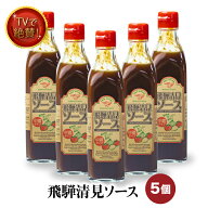 【マラソン限定★100円オフクーポン対象】 飛騨 清見ソース 5本セット パスカル清見 TVでも絶賛 中濃ソー…