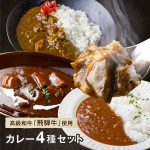 レトルト ギフト カレー カレーギフト 詰め合わせ 飛騨牛 レトルト 国産 黒毛和牛 ビーフカレー ビーフシチュー 4種 4食 / 8食 常温 40代 50代 60代 70代 80代 グルメ 食べ物 飛騨高山