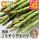 【受付中】朝採れ 国産 グリーンアスパラガス L~2L 1kg 夏アスパラガス 飛騨のごちそうアスパラ アスパラ 農家直送 水…