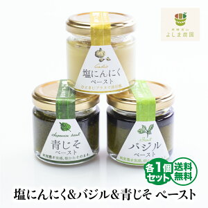 ˍR悵ܔ_̎R͔|V[Y oW ɂɂ  y[Xg  lߍ킹 