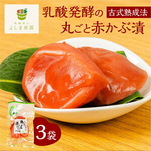 ۂƐԂԒЂ 3 Е yHi Y Ry _y ؉d   悵ܔ_ Â _ ͔| ˍR Y 
