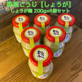 【送料無料】しょうが麹　飛騨こうじ織勢　野菜こうじ【しょうが】200g×6個セット　生姜の入った塩麹　しょうが　ショウガ　生姜　お料理に使える！　レシピ付き　唐揚げ　餃子　肉料理　魚料理　麹習慣　腸活
