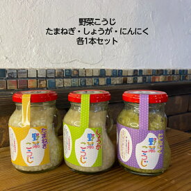 【送料無料】野菜こうじ各1本3種類セット　飛騨こうじ織勢　野菜こうじ【たまねぎ】【しょうが】【にんにく】200g×各1本3本セット　野菜のすりおろしの入った塩麹　玉葱麹　たまねぎ麹　生姜麹　しょうが麹　にんにく麹　お料理に使える！　レシピ付き　麹習慣　腸活