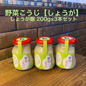 【送料無料】しょうが麹　飛騨こうじ織勢　野菜こうじ【しょうが】200g×3個セット　生姜の入った塩麹　しょうが　ショウガ　生姜　お料理に使える！　レシピ付き　唐揚げ　餃子　肉料理　魚料理　麹習慣　腸活