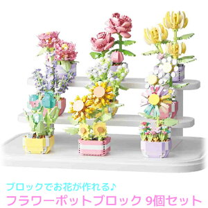 yViz9Zbg + X^h t[ubN ubN̂  t[ ubN pY   v[g Mtg  CeA Ђ܂ e O  `[bv 