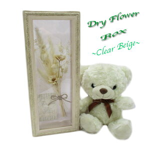 y̔zt[ \t[ hCt[    蕨 a o^C v[g Mtg  vU[ht[ i` {^jJ 蕨 u^ ݂艺 