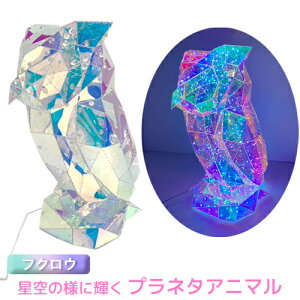 y̔z vl^Aj} tNE LED[vCg USBd LED C~l[V Cg 7̓_Ńp^[ IuWF I[J[ Aj}`[tPETf ӂ낤