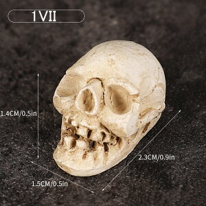  ǂ듪 hN u  CeA  fR[V  I[ig nEB XJ Y fB[X XPg z[ p[eB[  CeAG I[i