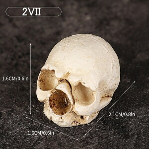  ǂ듪 hN u  CeA  fR[V  I[ig nEB XJ Y fB[X XPg z[ p[eB[  CeAG I[i