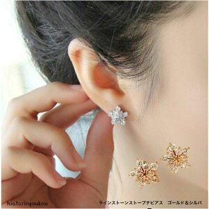 CXg[X^[v`sAX@@ fB[XANZT[ v[g ޏ  a NX}X l w  Ǝ@߁@Tځ@p[eB@@S[h@V