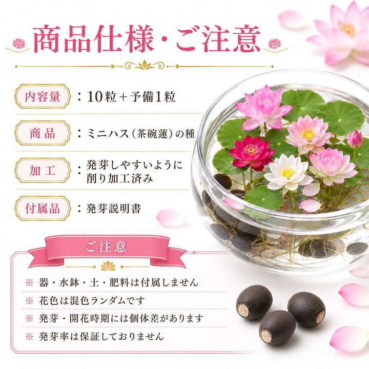 楽天市場】育て方説明書付き ミニハスの種 花色ミックス 削り加工済み 