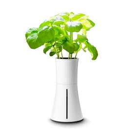 BOTANIUM(ボタニアム) 水耕栽培キット スモークホワイト