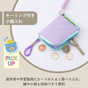���C���C���� �p�X�P�[�X �R�C���R�[�h&���K����t���p�X �u���[ GLP1193K