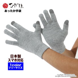 楽天市場 カイロ 手袋の通販