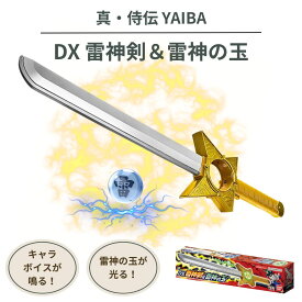真・侍伝YAIBA DX 雷神剣＆雷神の玉 鉄刃 キャラボイス 電池付属 子供 8歳から 光るおもちゃ ヤイバ アニメ バンダイ