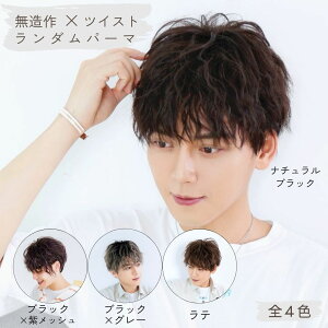 TefuRe �E�B�b�O �����Y ���i�g�� �o���Ȃ� ���R ������� �p�[�} �c�C�X�g ���b�V�� �O���f�[�V���� �w�A�J���[ �C���`�F�� �i�`�������u���b�N ���e �u���E�� �O���[ �p�[�v�� �� �l�b�g�t��