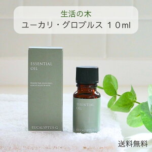 ̖ A}IC [JEOuX GbZVIC  10ml