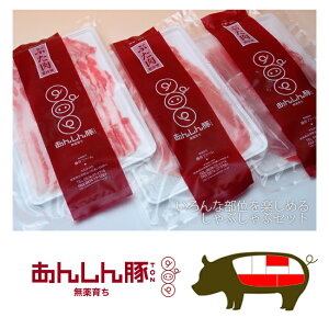 炿 񂵂 t@[ ԂԃZbg [X  o Mtg ȒPȃv[g p