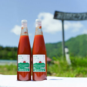 yz 肪Ƃt@[ _gȂ g}gW[X 500ml r 2{Zbg ɂikCEEjMtg v[g   a j j i j