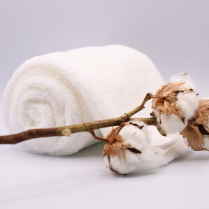 日本製 選べる3色 エアーかおる わたのはなNo3 今治 送料無料 新商品 浅野撚糸