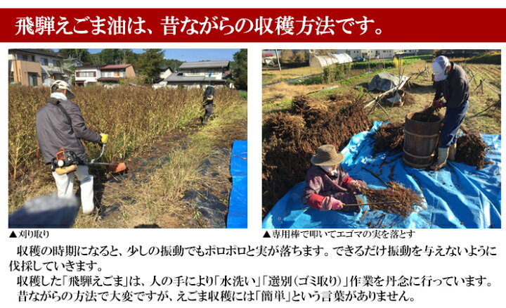 在庫処分 飛騨 生搾り えごま油 50g 5本セット 受注生産 低温圧搾 無添加 農薬不使用 国産 飛騨原産 Trademarketingforce Com Br 在庫処分 飛騨 生搾り えごま油 50g 5本セット 受注生産 低温圧搾 無添加 農薬不使用 国産 飛騨原産 Trademarketingforce Com Br
