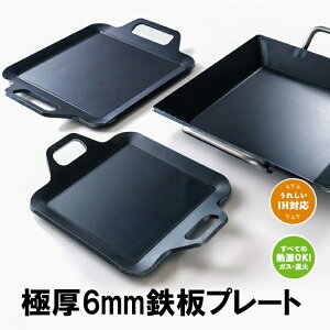 Ɍv[g  S 20x27cm (Ă15x15cmj 6mm 2.5kg 쌤H  