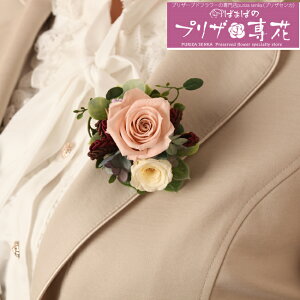  vU[uht[ RT[W ujRv L:8cm W:6.5cm H:4.5cm