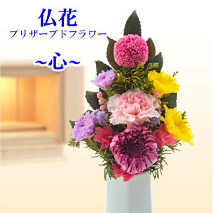  vU[uht[   uSv H:26cm W:14cm