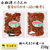 【送料無料・ポスト投函】 小松洋二さんの 無添加 奥美濃 梅干し 250g 自然食品 しそ漬梅 小粒 小梅 郡上…