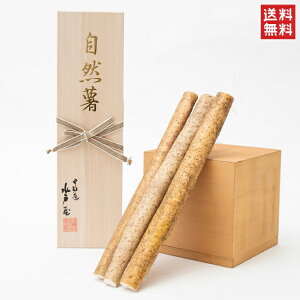 R ˉ ˔ ō R 800g  Mtg Ε  