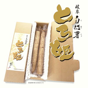 R ˉ ƂP R 600g  Mtg Ε  