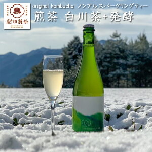  Sencha Kombucha Scoby 750ml gLmR Ru` yHi Guilt Free Drink  Vc R̒̂  Z쒃