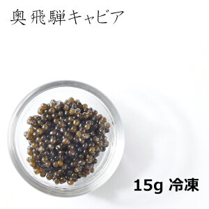 yz˃LrA 15g Ⓚ K[fzeĊx Mtg v[g   a j j i j gws