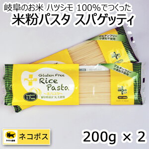 vX Oet[ ĕpX^ XpQbeB2Zbg@1.7mm@200g XpQeB XpQeB[ XpQbeB[  GIAHS  lR|XΉ