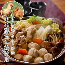 地鶏 奥美濃古地鶏 鍋セット G-KON-A3 中部食産