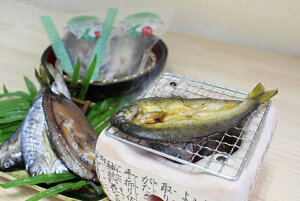 yz򕌂̐싛Zbg E܂Eɂ܂3Zbg Mtg v[g   a j j i j